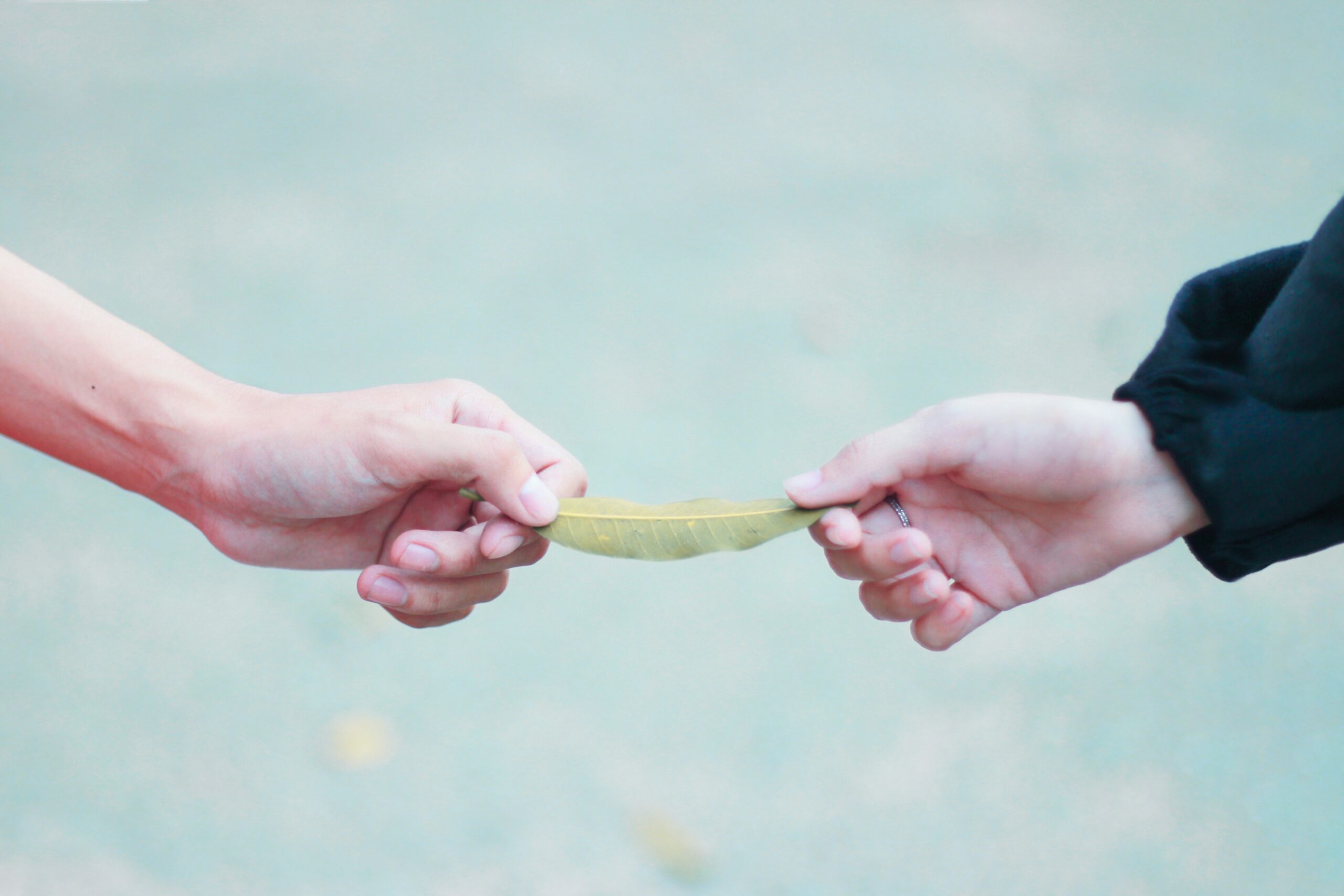 give and take